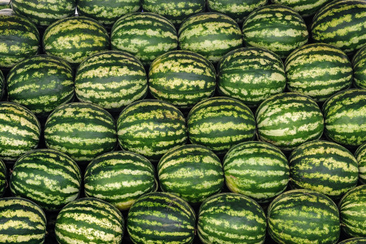 1664936 (a): :2560x1701